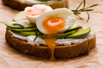 avocado and egg sandwich