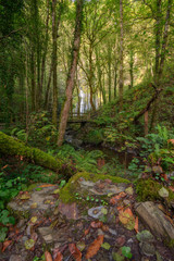 Path and wooden bridge in the surroundings of the waterfall