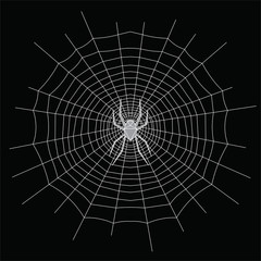 Ragnatela e ragno, design di linee bianche sullo sfondo nero, illustrazione vettoriale