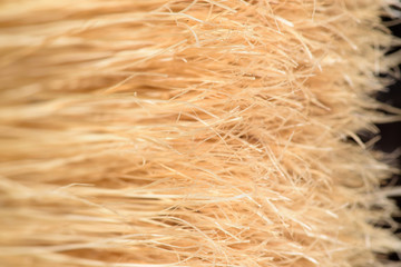 paintbrush