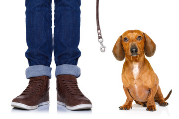dog and owner  with leash