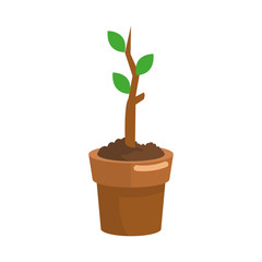 plant in a pot over white background. colorful design. vector illustration