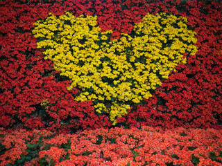 yellow heart made of  flowers