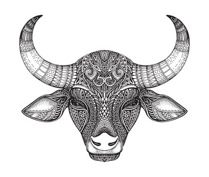 Patterned head of the bull.
