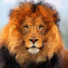 Abstract Polygonal Illustration, Lion Low Poly Portrait.