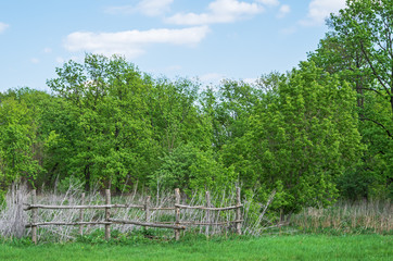 Wooden palisade
