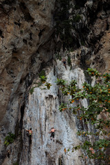 rock-climbers get upward on the steep rock