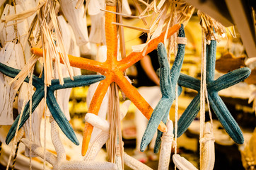 decorations from the sea 