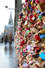 Fototapeta premium Köln 2
