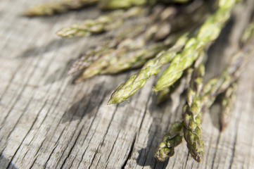 Garden asparagus (Asparagus officinalis)