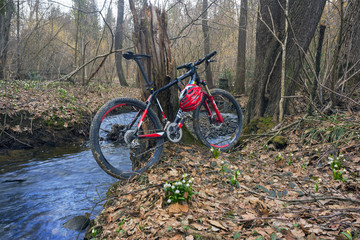 Fototapeta premium Racing carbon bike Ukraine and snowdrops
