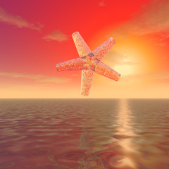Fototapeta na wymiar A mysterious object resembling a huge starfish