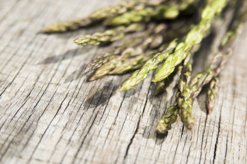 Garden asparagus (Asparagus officinalis)