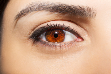 Obraz premium A beautiful insightful look woman's eye. Close up shot