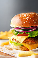 Tasty hamburger with french fries on a wooden board