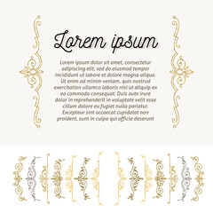 Set of decorative flourishes braces, page decor elements.