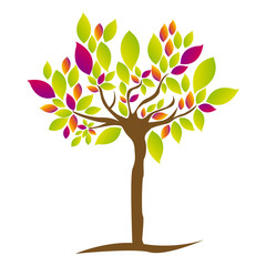 colorful tree plant with several leaves vector illustration