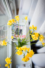 flowers, kwiaty, frezje, home, wystrój domu © Katarzyna