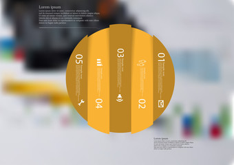Illustration infographic template with circle vertically divided to five orange parts