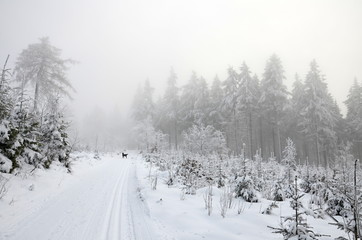 Winter cross country landscape