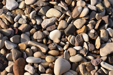 rocks on the beach