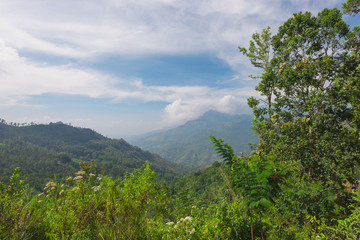 Mountains on the island of Sri Lanka.