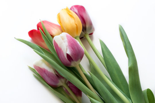 Bouquet of tulips on a white background. Soft spring background. The image is isolated. Selective focus.