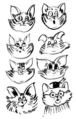 Cat faces