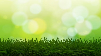 Green grass abstract background with bokeh sky