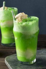 Homemade Green Ice Cream Soda Float