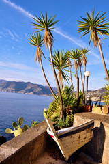 san rocco di camogli, punta chiappa, genoa italy