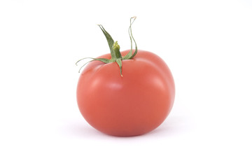 Tomate