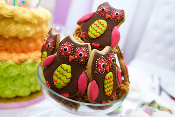 Cookies the owl on the plate