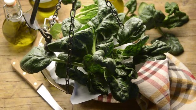 Spinacia oleracea Rau ch&acirc;n vịt Սպանախ Szpinak warzywny Spinaci Spinach &Eacute;pinard Echte Spinat Espinaca 시금치 ホウレンソウ Шпинат سبانخ огородный תרד 菠菜 