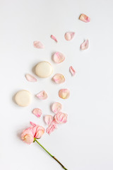 spring design with macaroons and flower in soft light top view