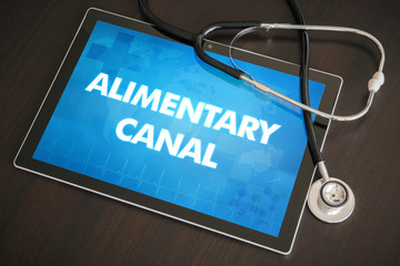 Alimentary canal (gastrointestinal disease related) diagnosis medical concept on tablet screen with...
