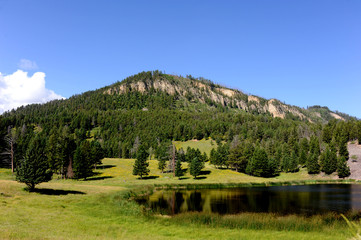 Flat Surface of Floating Island Lake