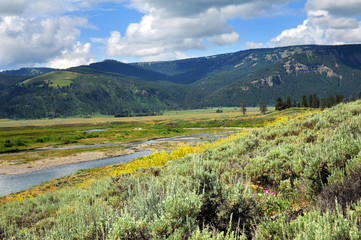 Fototapeta premium Soda Butte Creek