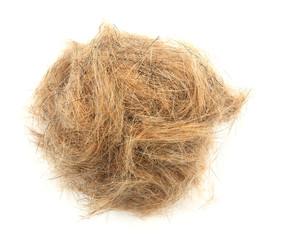 Ball of dog hair close-up