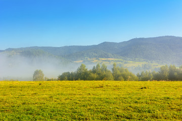 Misty morning rural landscape of a fields in summer. Pieniny mountains. Poland.