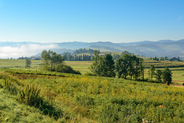 Fototapeta na wymiar Misty morning rural landscape of a fields in summer. Pieniny mountains. Poland.