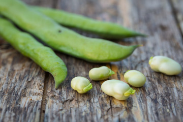 Fava beans
