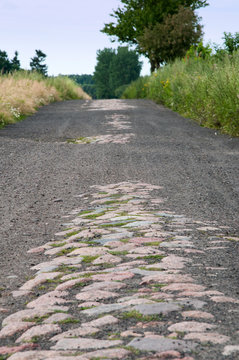 The image of forest road gravel
