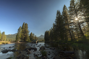 Yosemite Meadow Sunset - The sun begins to set through the trees in the meadows of Yosemite National Park.