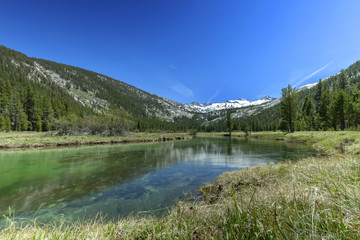 Fototapeta na wymiar Mt. Lyell Flow - A flowing river from melting snow waters of Mt. Lyell in Yosemite National Park. 