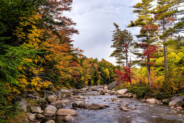 New Hampshire Fall 