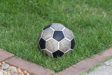 ball on the grass