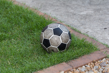 ball on the grass