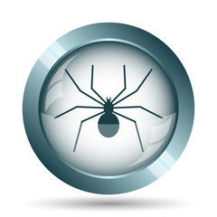 Spider icon