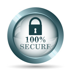 100 percent secure icon